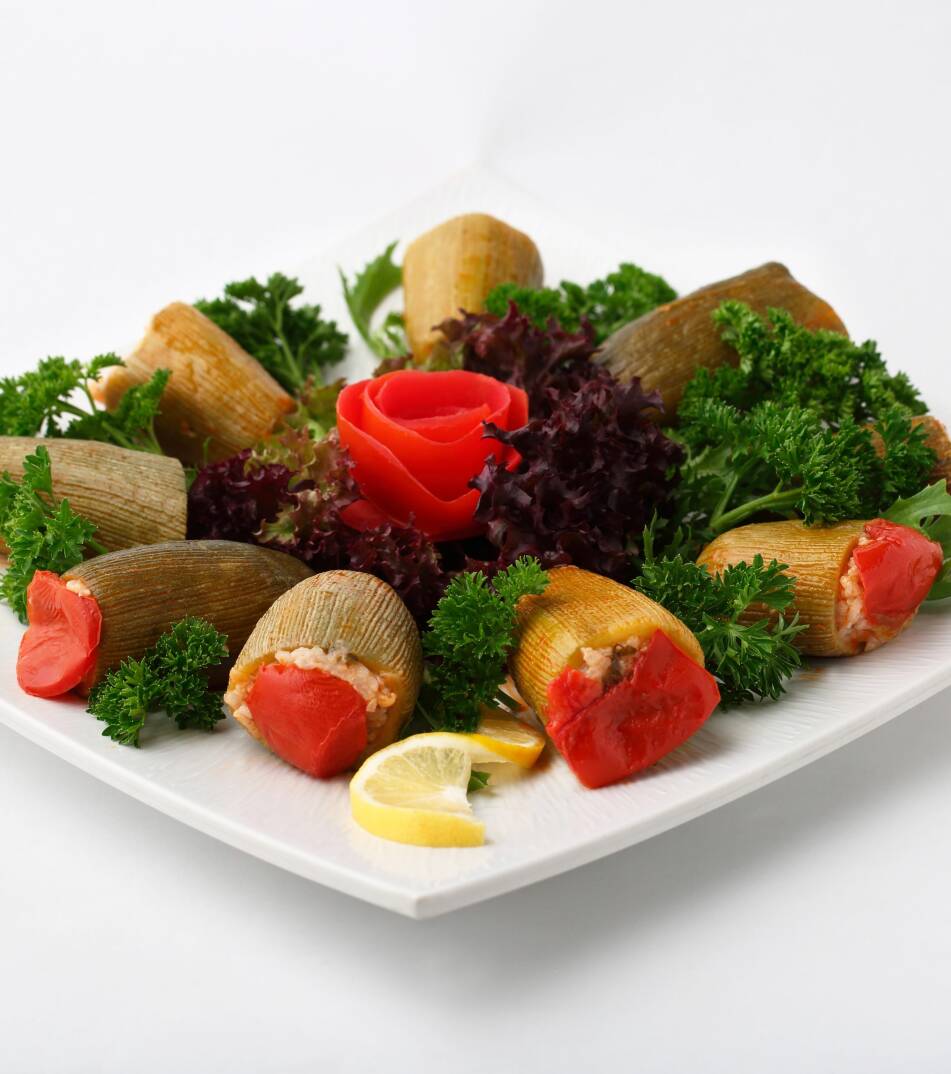 Kabak Dolma - 1